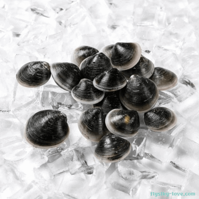 숙취해소에 좋은 가무락조개