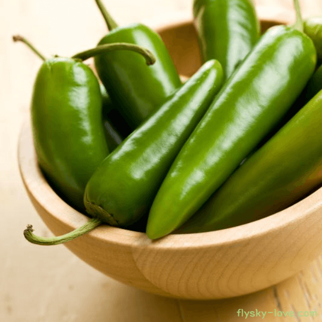 할라피뇨 고르는 법