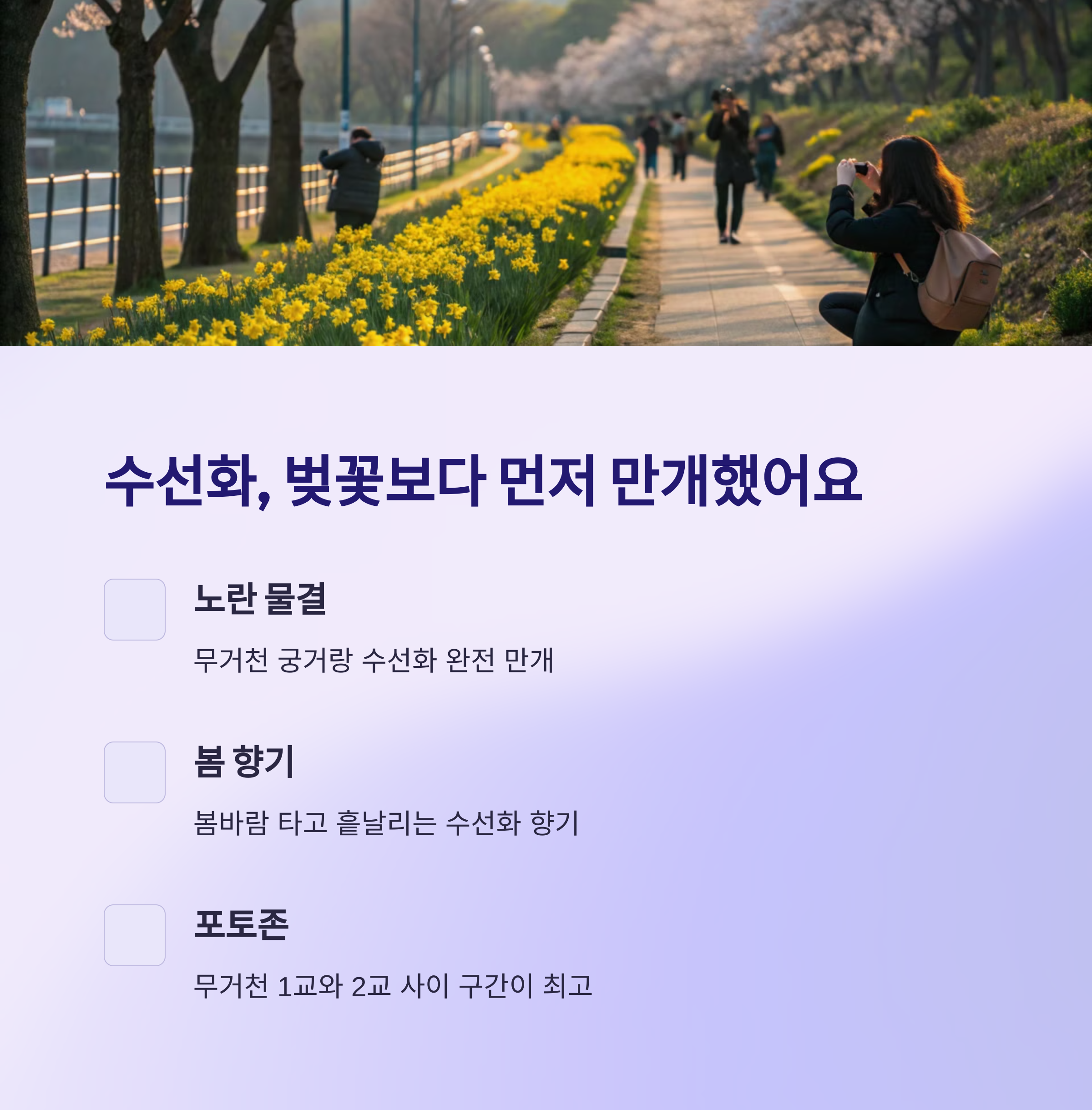 수선화, 벚꽃보다 먼저 만개