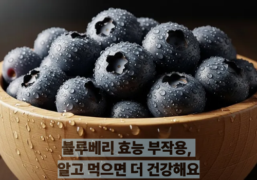 블루베리 효능 부작용, 알고 먹으면 더 건강해요