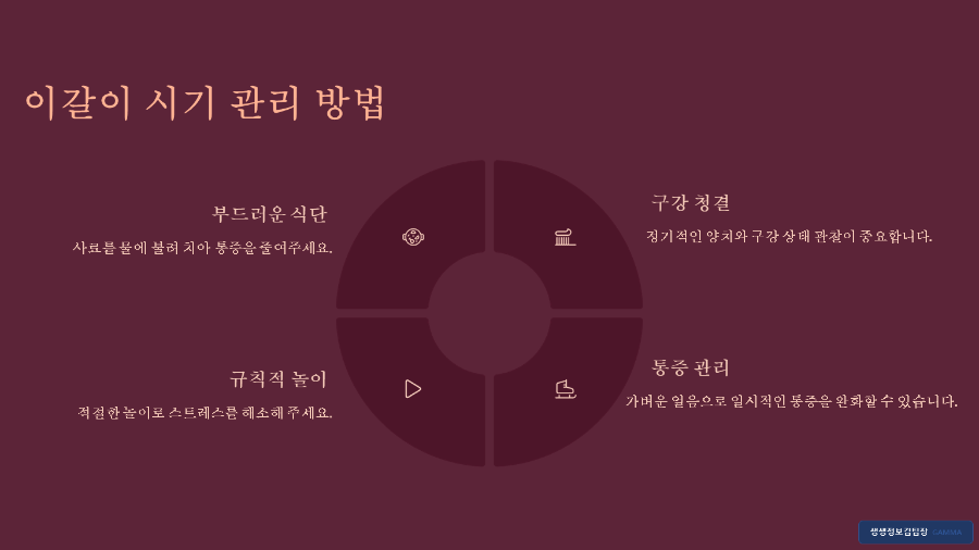 강아지 유치 빠질 때 필요한 장난감 - 올바른 교체 시기와 선택 팁