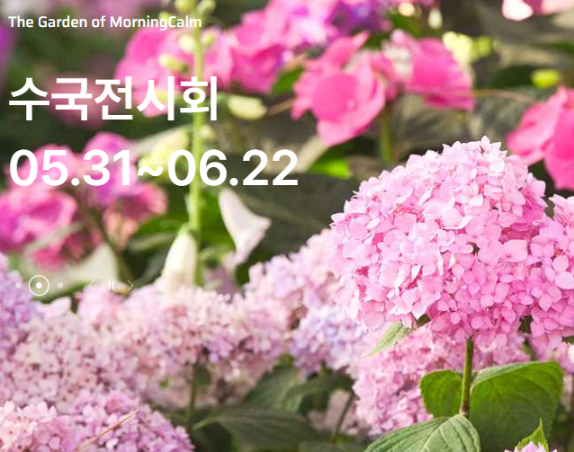 아침고요수목원 수국전시회, 입장방법 요금