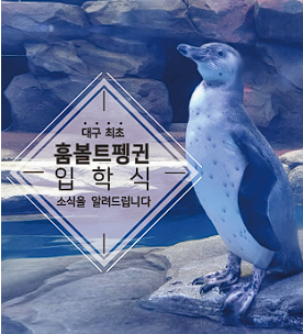 대구 아쿠아리움 입장료 할인