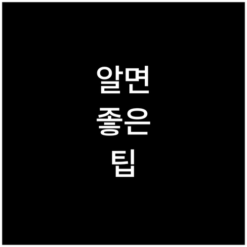 석대동 생활폐기물, 언제 어디에 어떻..