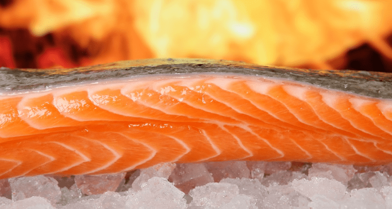 내장 지방 빼는 음식 연어