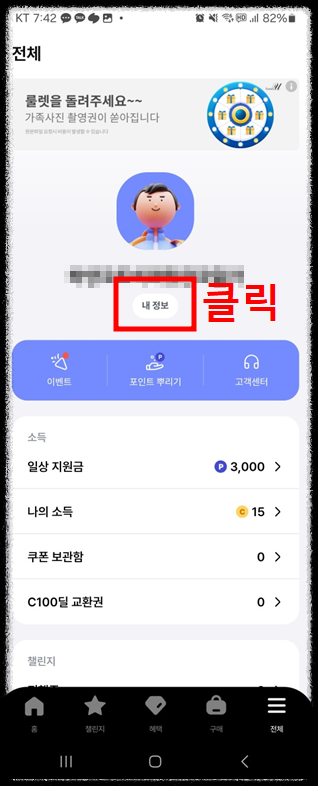 전국민 일상 지원금 발로소득