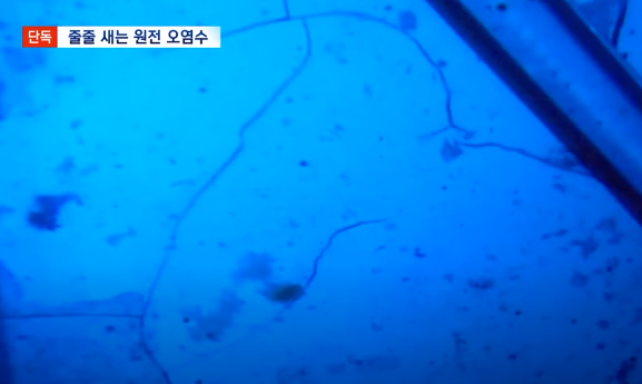 줄줄 새는 원전 오염수