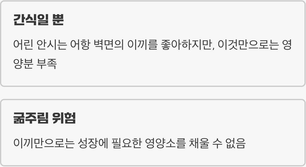 &amp;#39;이끼 청소부&amp;#39;라는 가장 큰 오해