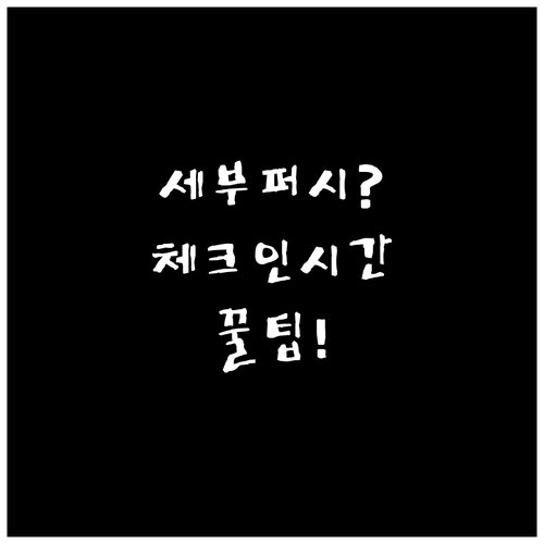 세부퍼시픽 온라인체크인 시간 및 방법..