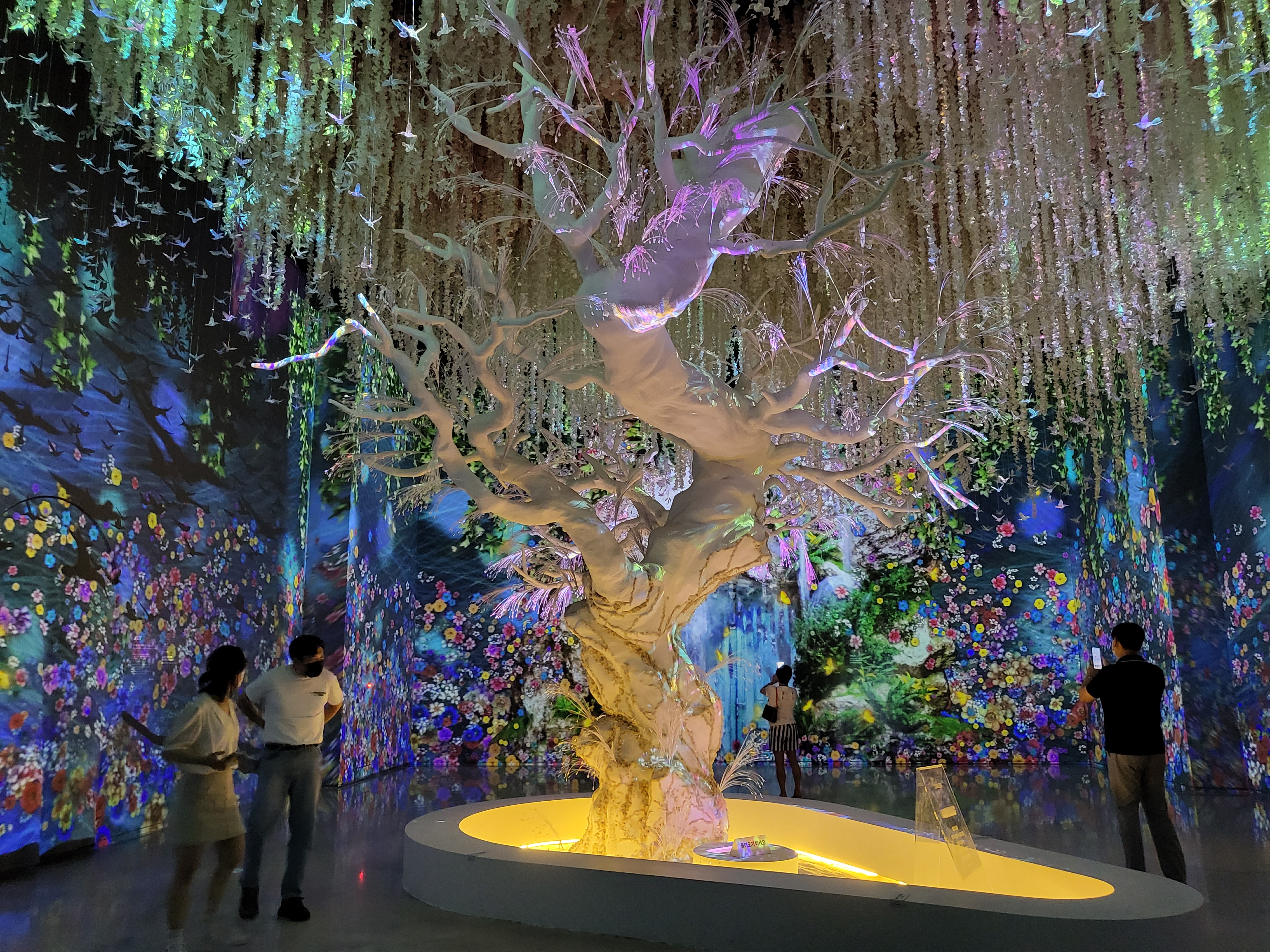 여수파빌리온 녹테마라 전시관 안에서