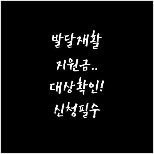 복지로 발달재활서비스 대상 확인 및 ..