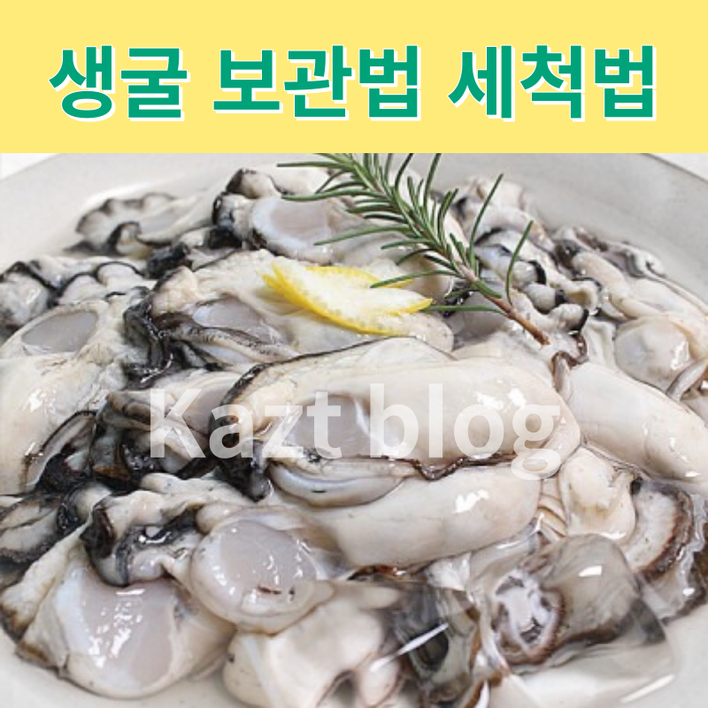 생굴보관법 세척법