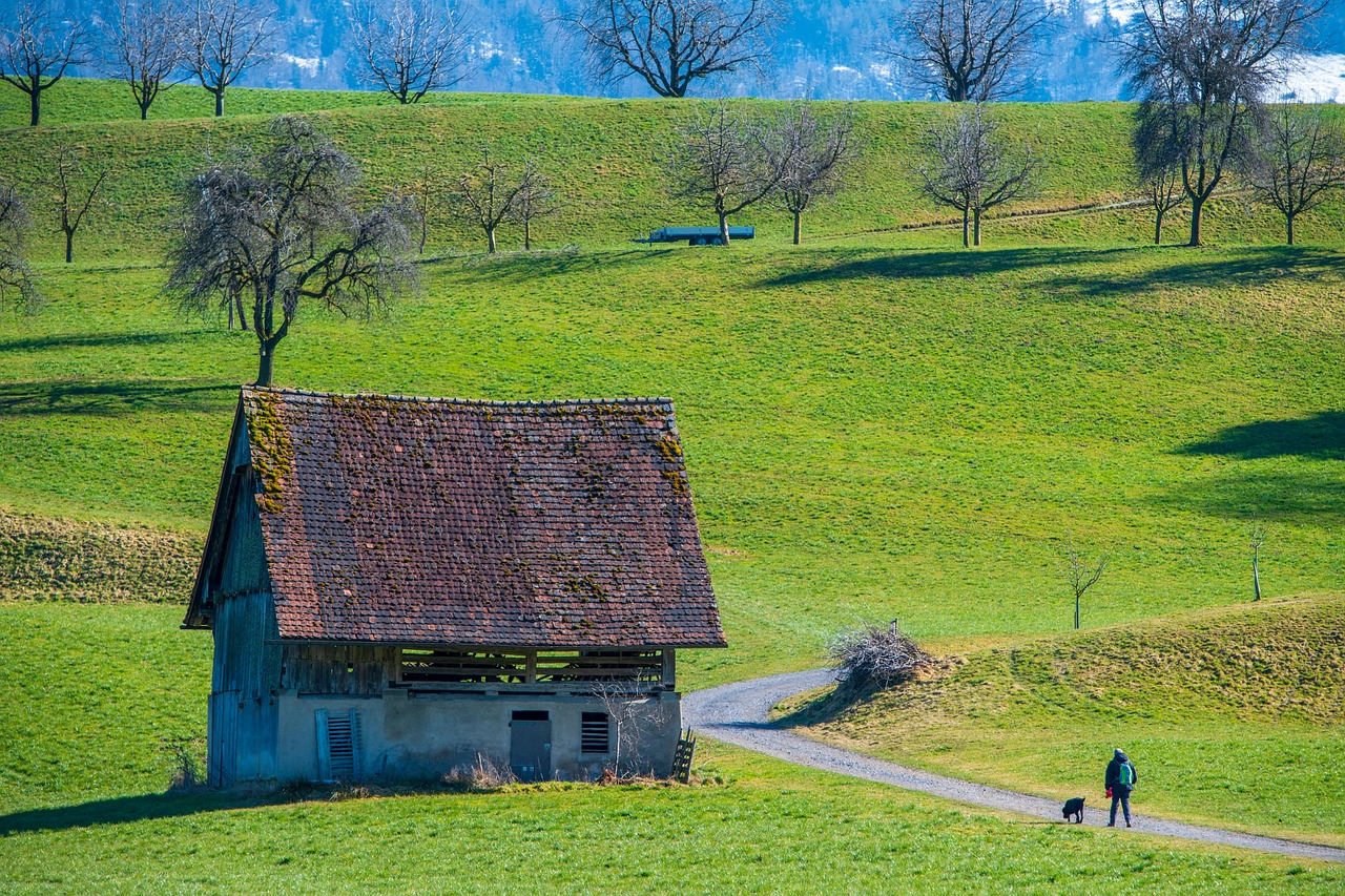 넓은 초록빛 언덕 위로 구불구불 이어진 작은 자갈길이 펼쳐지고, 그 길 옆에는 오래된 붉은 기와지붕의 헛간이 고요히 자리잡고 있다. 헛간 지붕에는 이끼가 낀 흔적이 있으며, 벽면은 오래된 콘크리트와 나무로 구성되어 있다. 언덕 곳곳에는 잎이 떨어진 앙상한 겨울나무들이 듬성듬성 서 있고, 배경에는 흐릿한 설산과 하늘빛이 뒤섞여 자연스러운 깊이를 더해준다. 오른쪽 하단에는 산책 중인 사람이 반려견과 함께 걷고 있는 모습이 포착되어, 정적 속에 따뜻한 생동감을 부여한다. 전반적으로 조용하고 목가적인 분위기가 강조된 시골 언덕길 풍경을 담은 사진.
