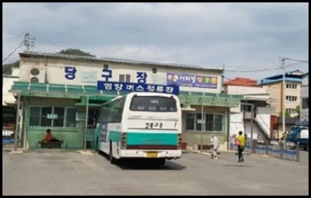 영양 시외버스터미널 시간표 예매 요금_4