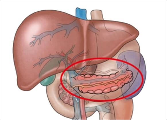 왼쪽 아랫배 통증 원인과 치료법