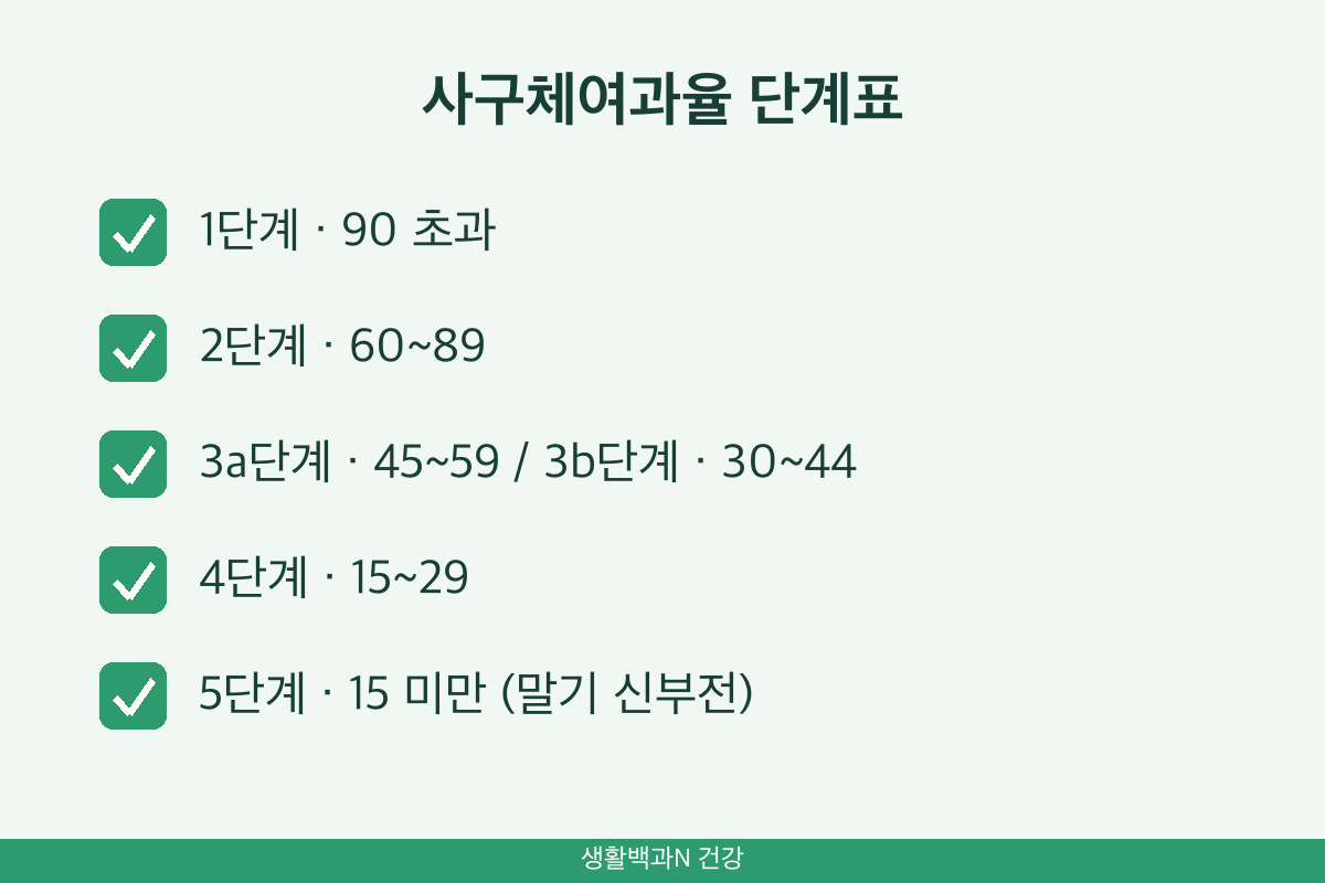사구체여과율 단계 1단계 2단계 3a 3b 4단계 5단계 수치 표