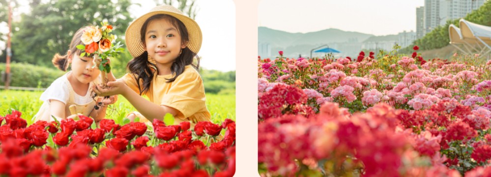 생태여행관 어린이관람객을 위한 다양한 장미체험