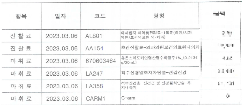 목디스크-주사치료-세부산정내역
