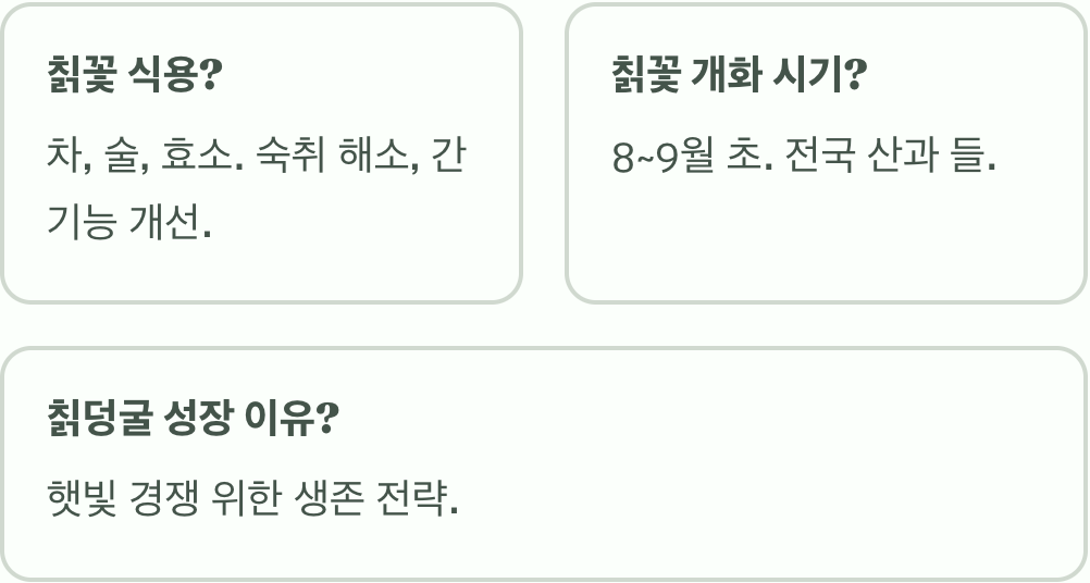 칡꽃 꽃말과 상징적 의미 총정리