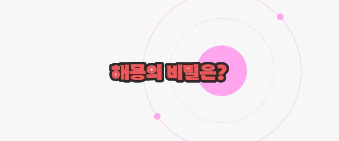 꿈속에서 똥싸는 꿈 이제 본격적으로 알아볼까요