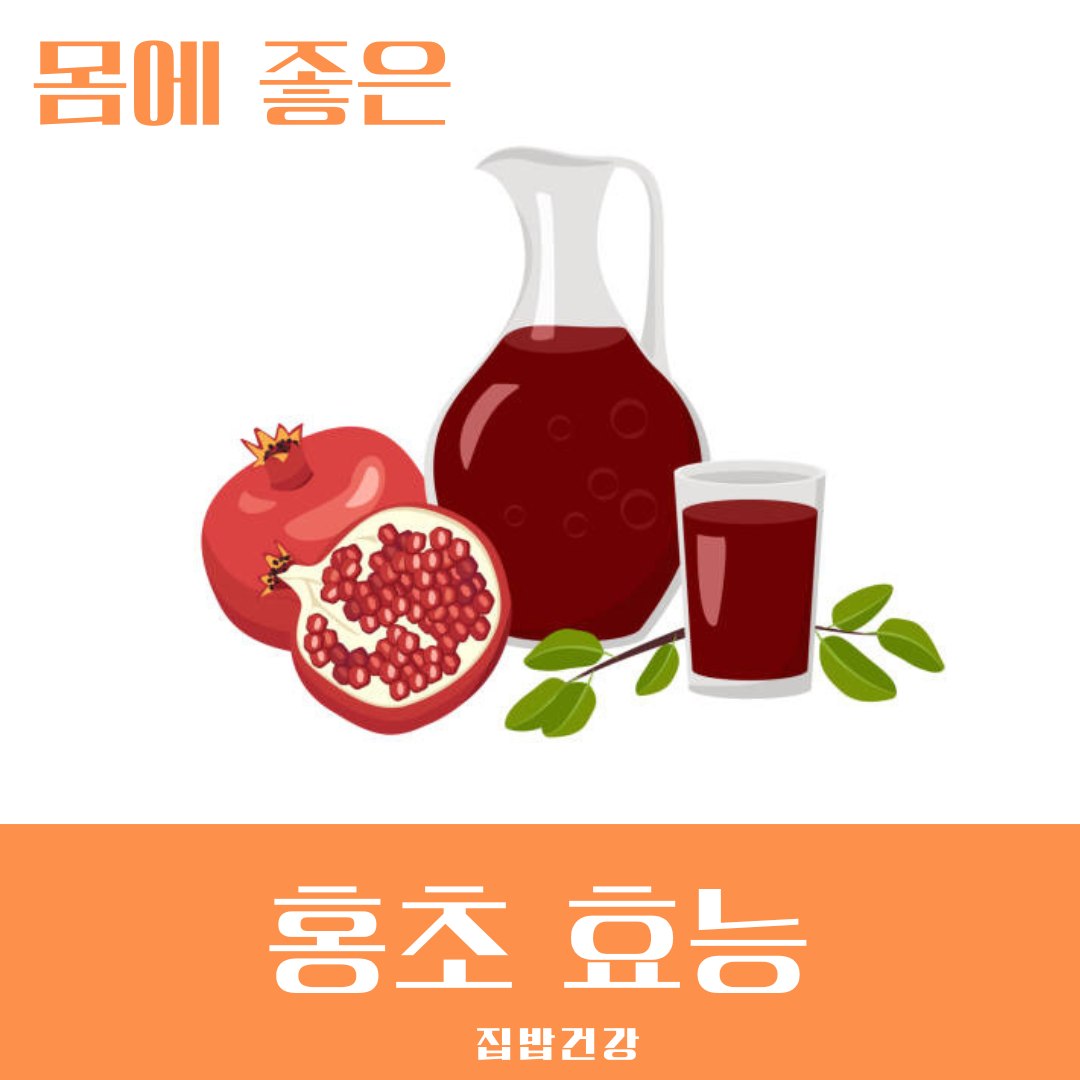 홍초 효능