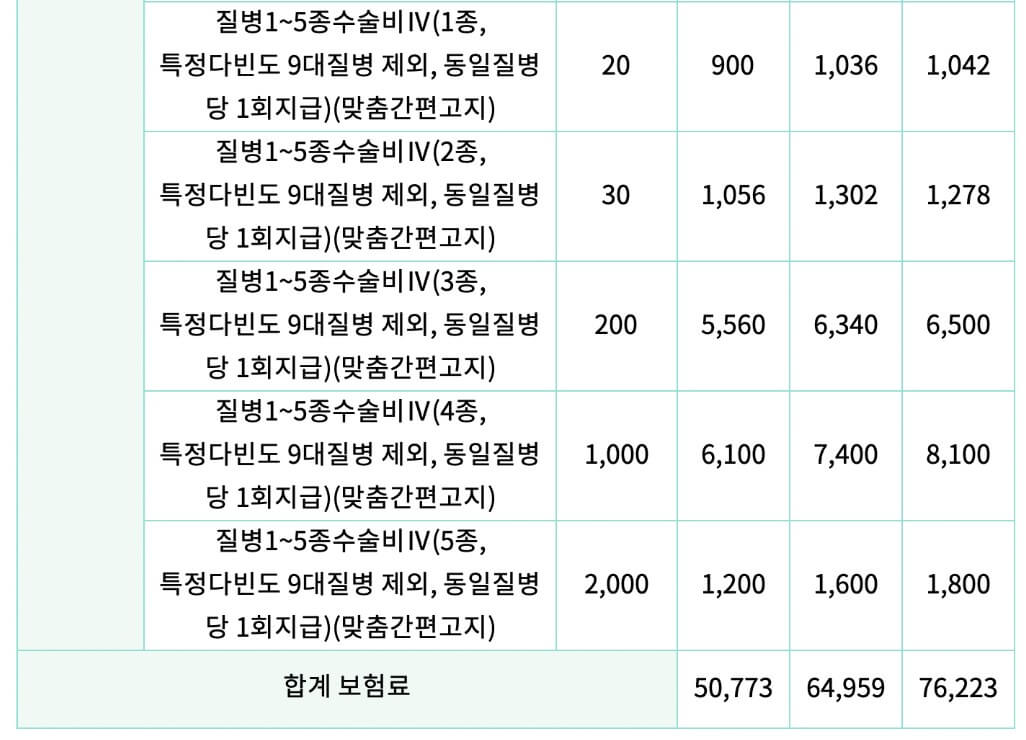 가입예시 및 보험료