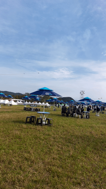 블랙이글스 에어쇼2