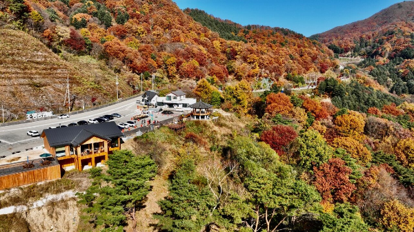 지리산 살구 카페 과일요거트 카페오도재