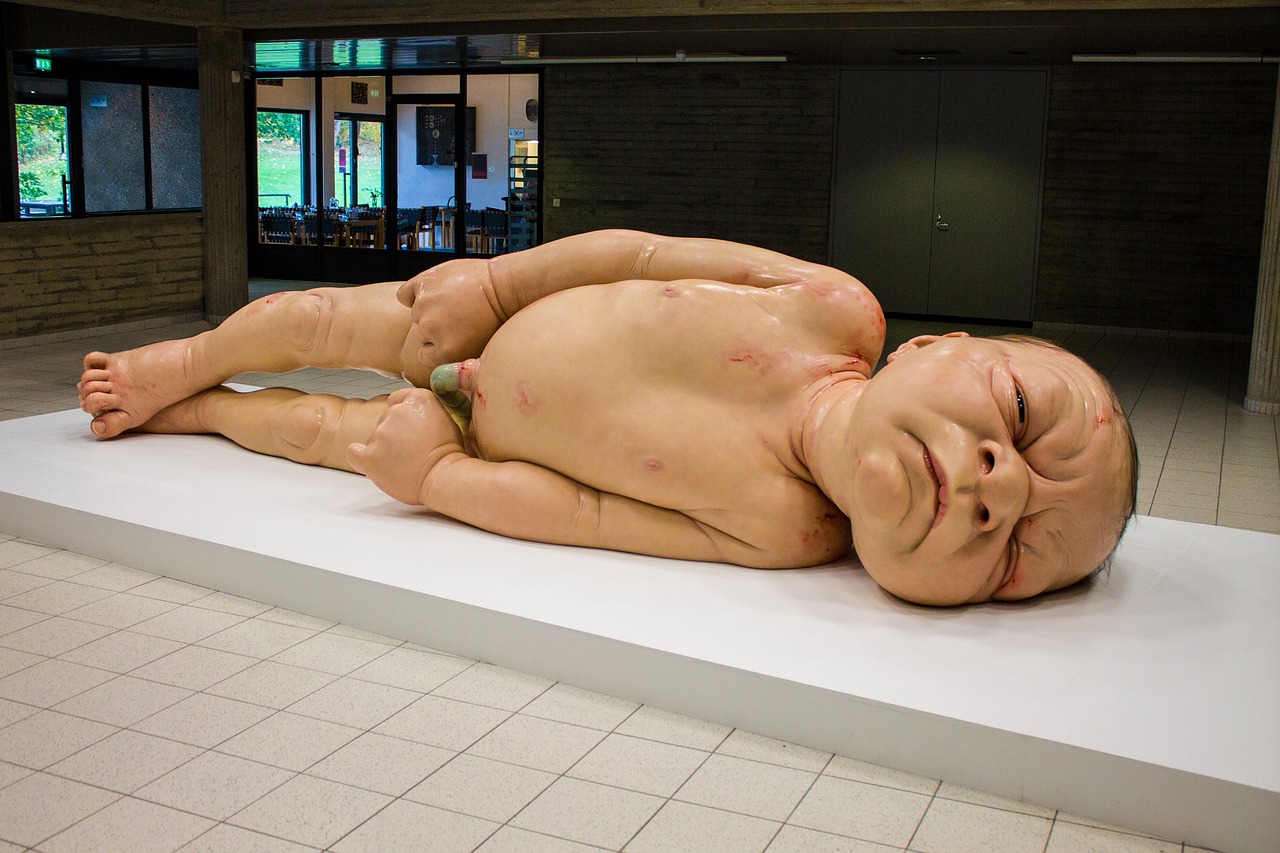 Ron Mueck 작품 2 ( 출처 : Pixabay제공)