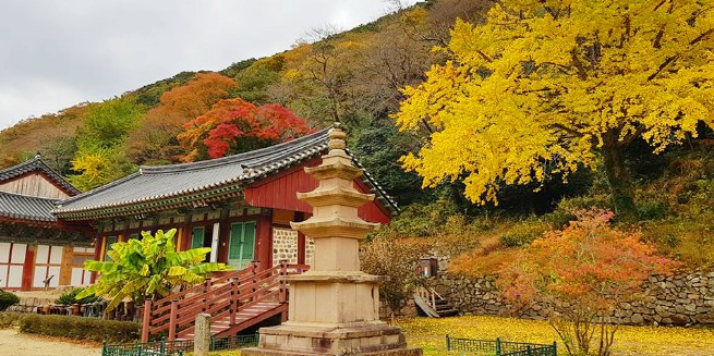 [국내가을여행지추천] 단풍명소 - 전남 가을 여행지 추천 해남 대흥사