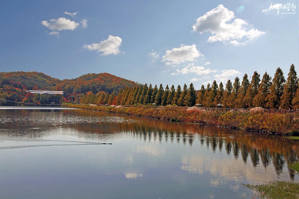 서울근교 갈만한 곳 서울대공원
