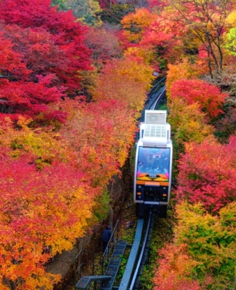 화담숲 예약방법[2025년]