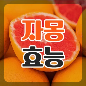 자몽 효능과 건강 효과_15