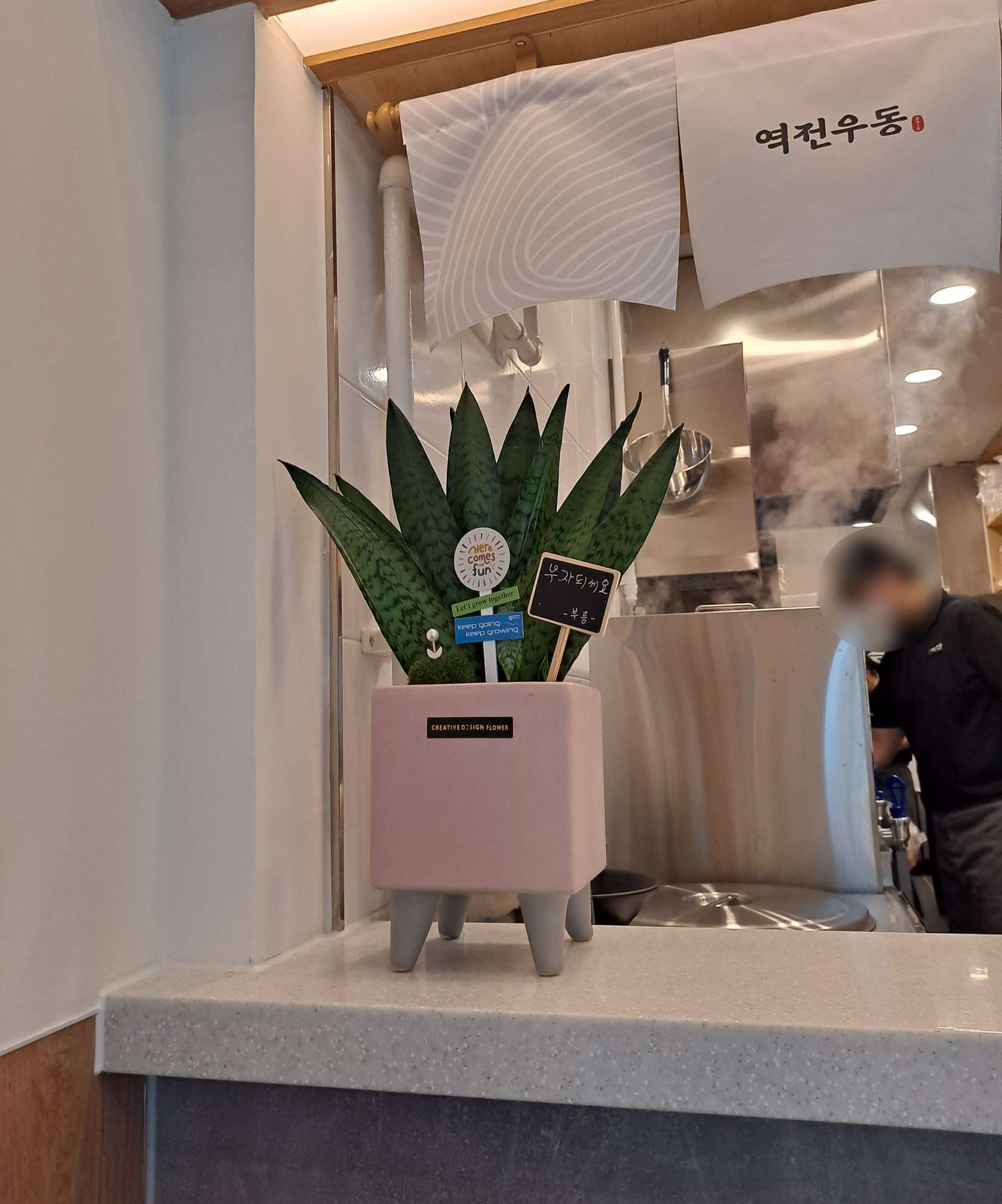 역전우동 스투키화분