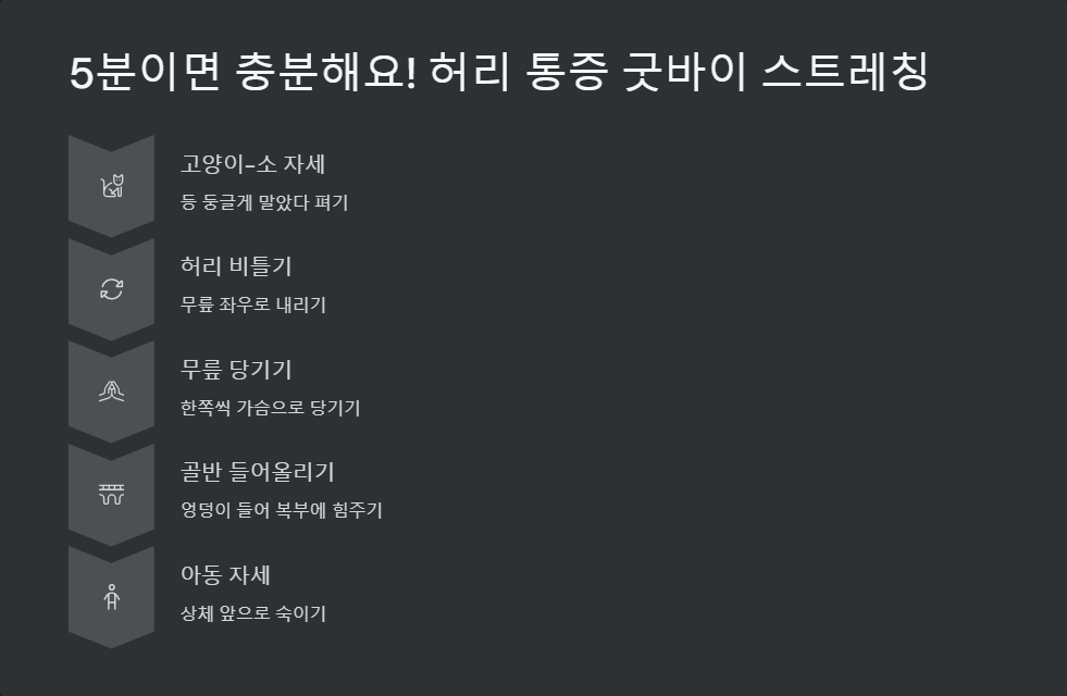 허리 통증 완화 운동, 하루 5분 스트레칭 루틴