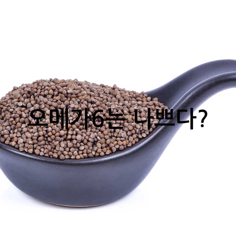 오메가3 vs 오메가6&amp;#44; 섭취 황금비율