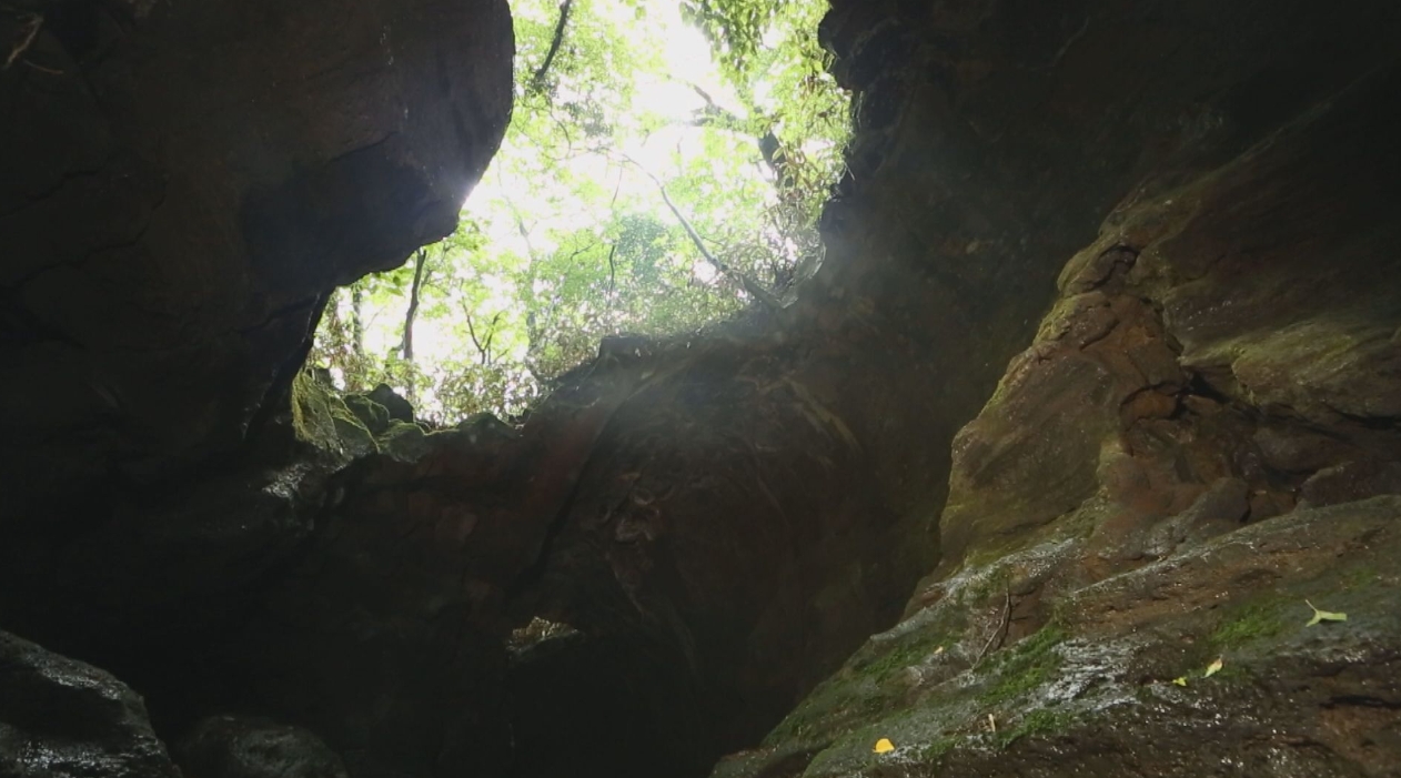 제주 구린굴 공개, 관음사 인근 용암동굴 탐방 예약제 안내
