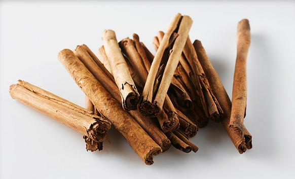 실론시나몬-계피