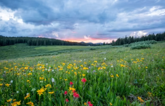 2025국민연금 인상률 2025국민연금 수령액 인상률
