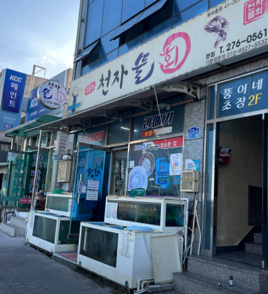 천자물회 