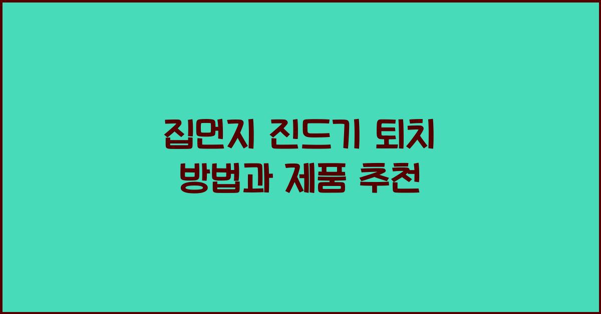 집먼지 진드기 퇴치 방법과 제품 추천