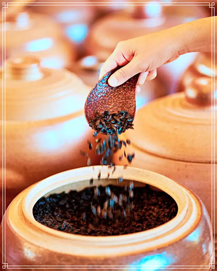 생방송 오늘저녁 경남 산청 지리산 힐링 티테라피 약초차 맛집