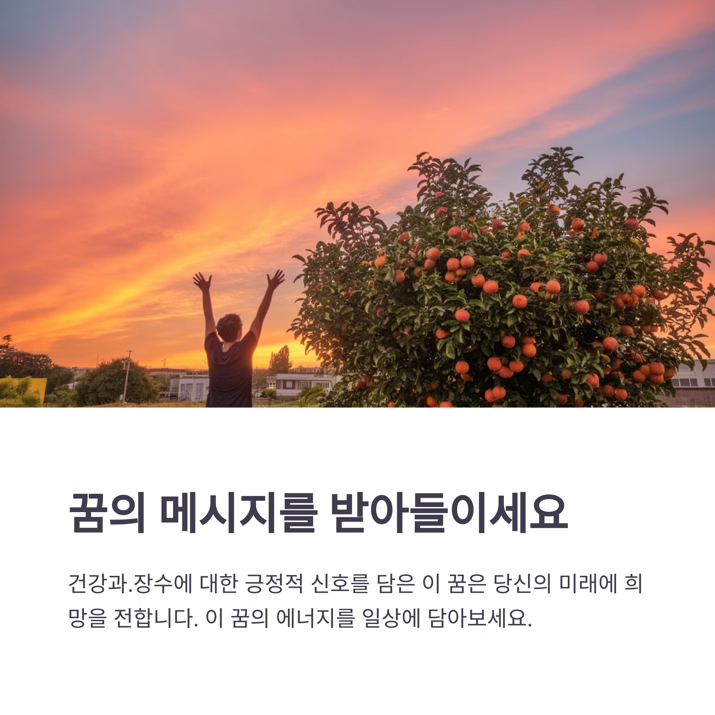 나무에서 열매가 풍성하게 맺히는 꿈