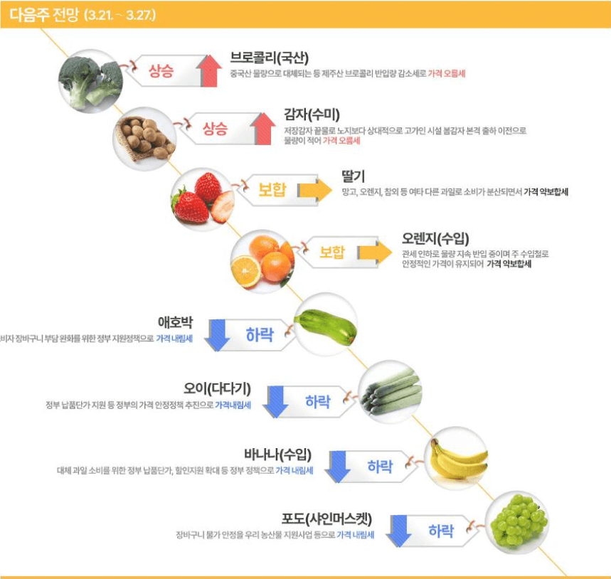 2024 농축산물 할인지원제도 구매처 구매금액 할인품목