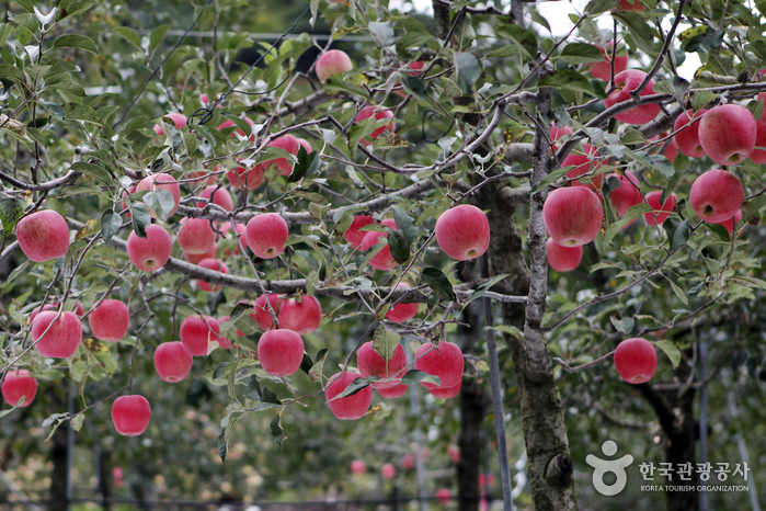 영주 가볼만한곳 베스트10