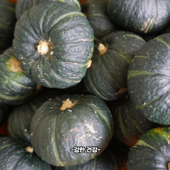 단호박 보관방법