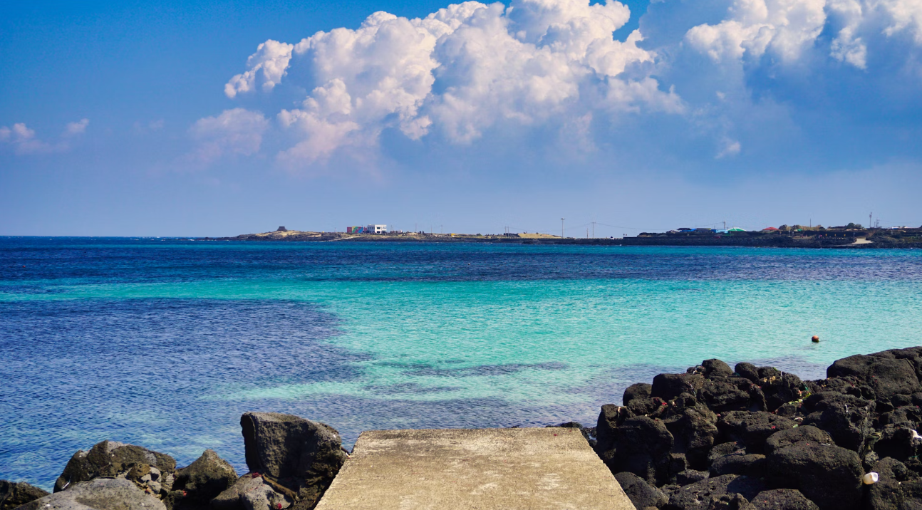 제주도 관련 이미지