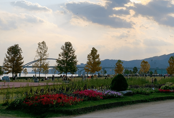 여의도한강공원