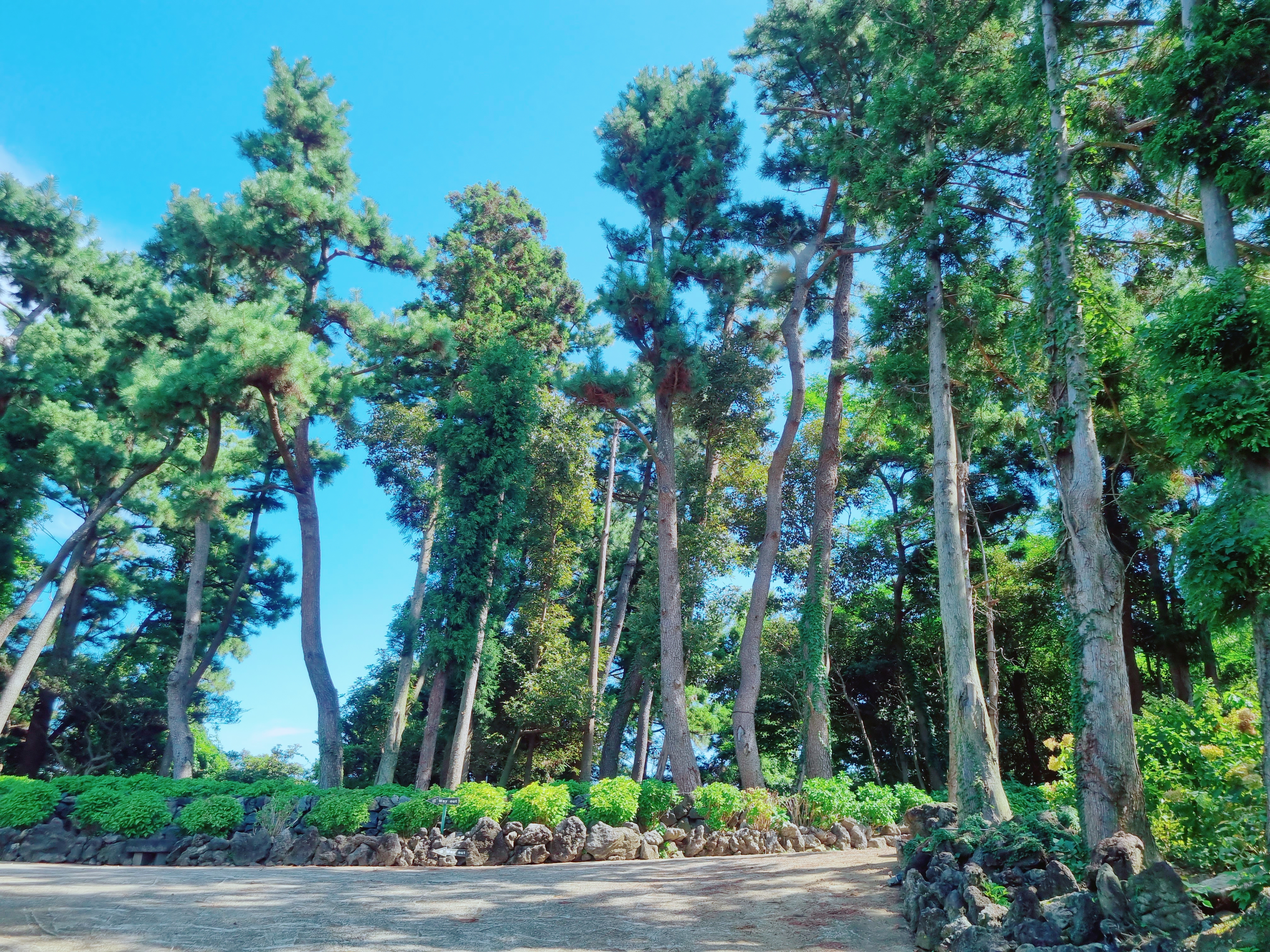 숨도