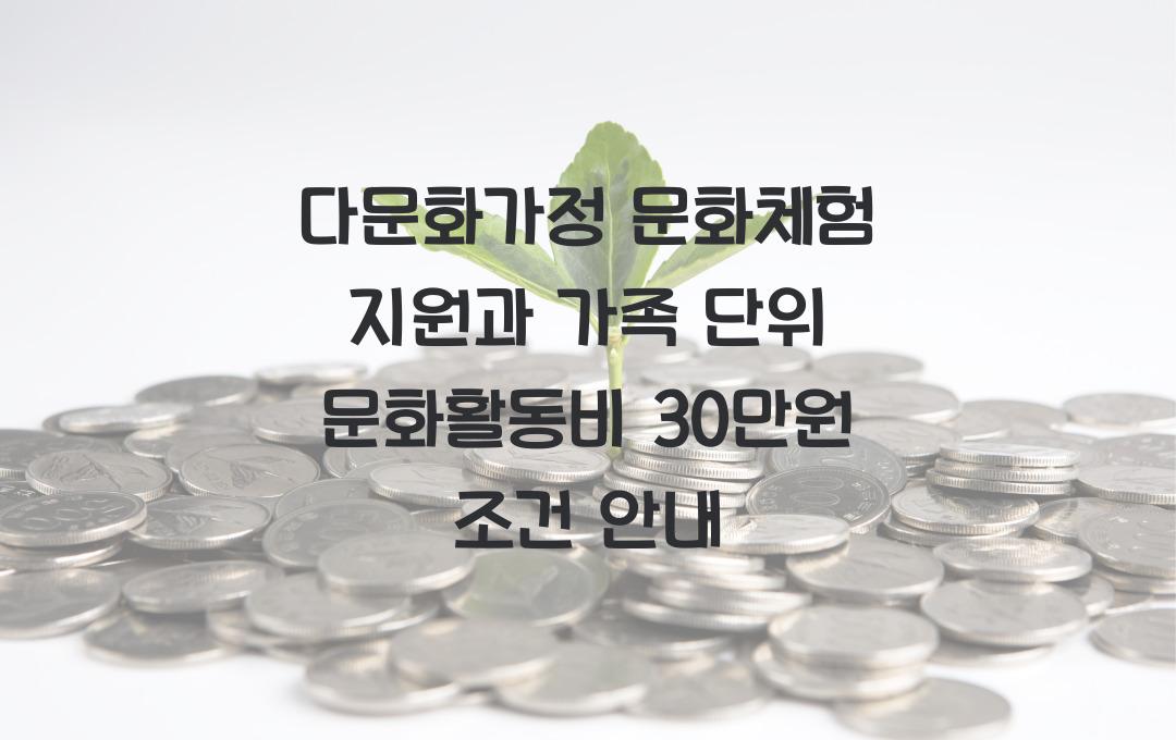다문화가정 문화체험 지원, 가족 단위 문화활동비 연 30만원 지원 조건